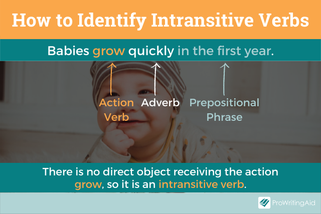 How to identify intransitive verbs