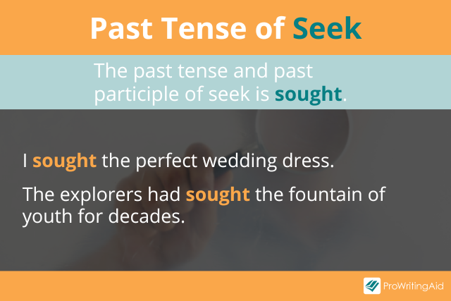 Past tense of seek is sought