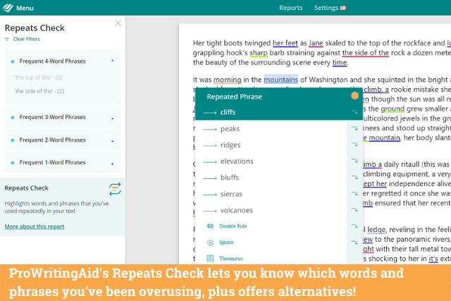 Screenshot of ProWritingAid's repeat check