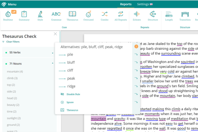 Screenshot of ProWritingAid's Thesaurus