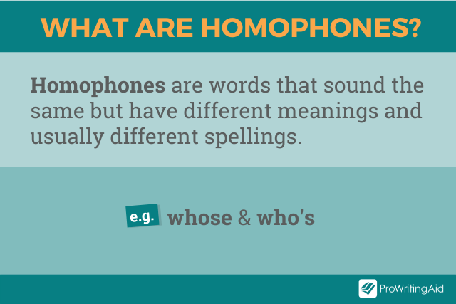 Image showing the definition of homophones