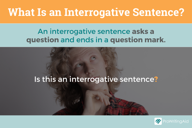 What is an interrogative sentence